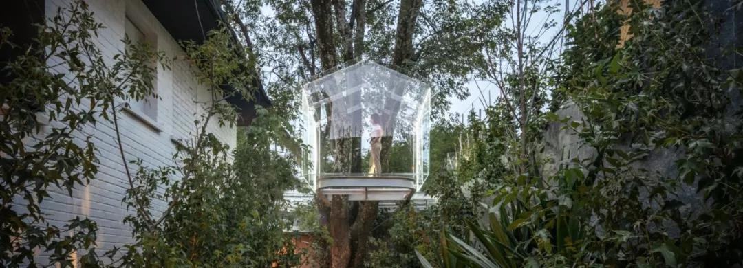 木屋欣赏 | 梦幻般的玻璃树屋